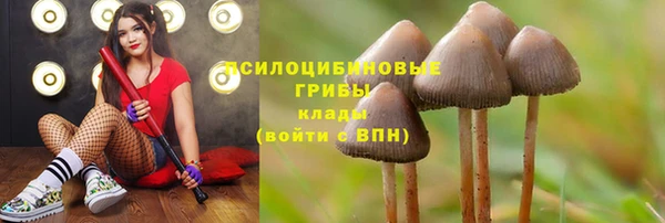 ПСИЛОЦИБИНОВЫЕ ГРИБЫ Остров